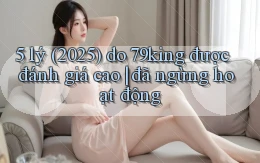5 lý (2025) do 79king được đánh giá cao đã ngừng hoạt động