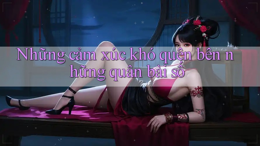 Những cảm xúc khó quên bên những quân bài số Những cảm xúc khó quên bên những quân bài số