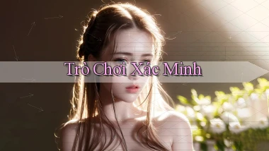 Trò chơi Xác minh